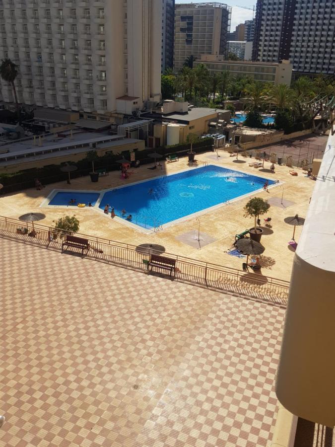 Acuarium 3-Fincas Benidorm Eksteriør bilde
