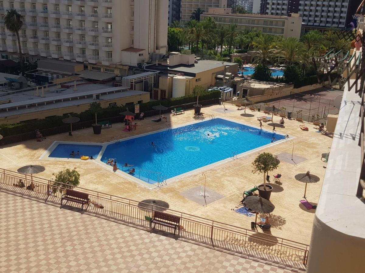 Acuarium 3-Fincas Benidorm Eksteriør bilde